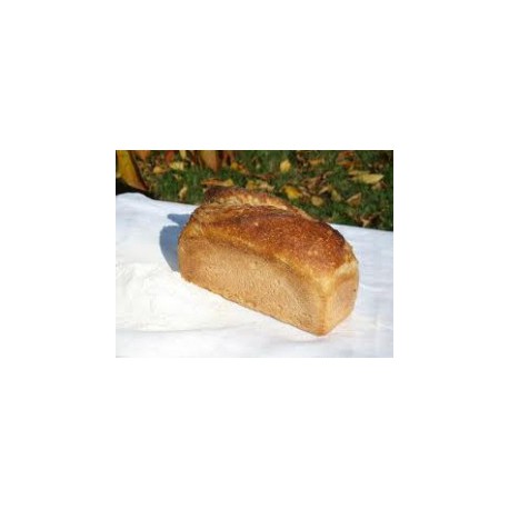 Pain de Campagne (complet) T 65