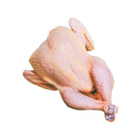 Poulet