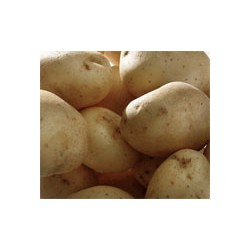 Pomme de terre (5 kg )