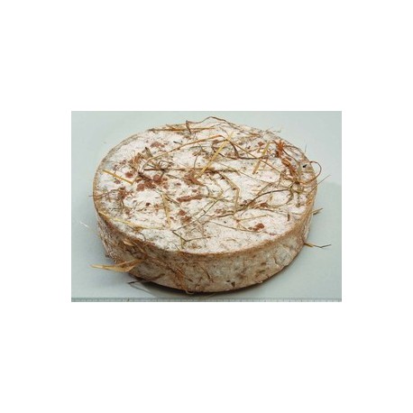 Tomme à Foin