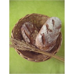 Pain de Seigle (65% seigle T 130)